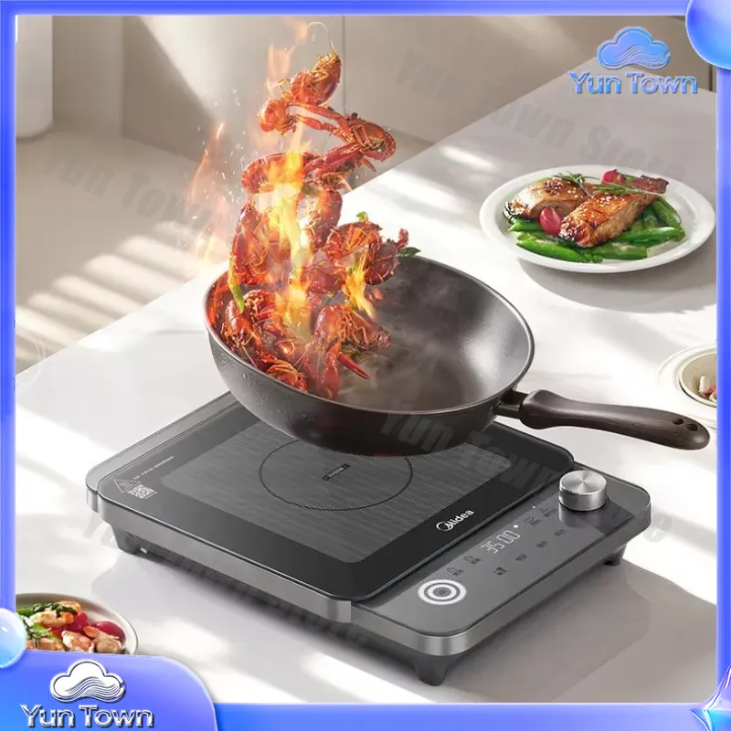Induction Cooker for Home Use  - đánh giá và giá Induction Cooktop Portable