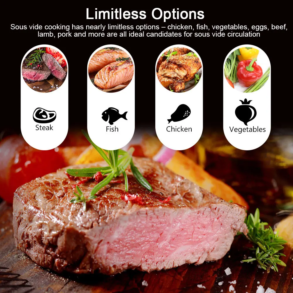 1100W Vacuum Sous Vide Cooker  - đánh giá và giá Sous Vide Immersion