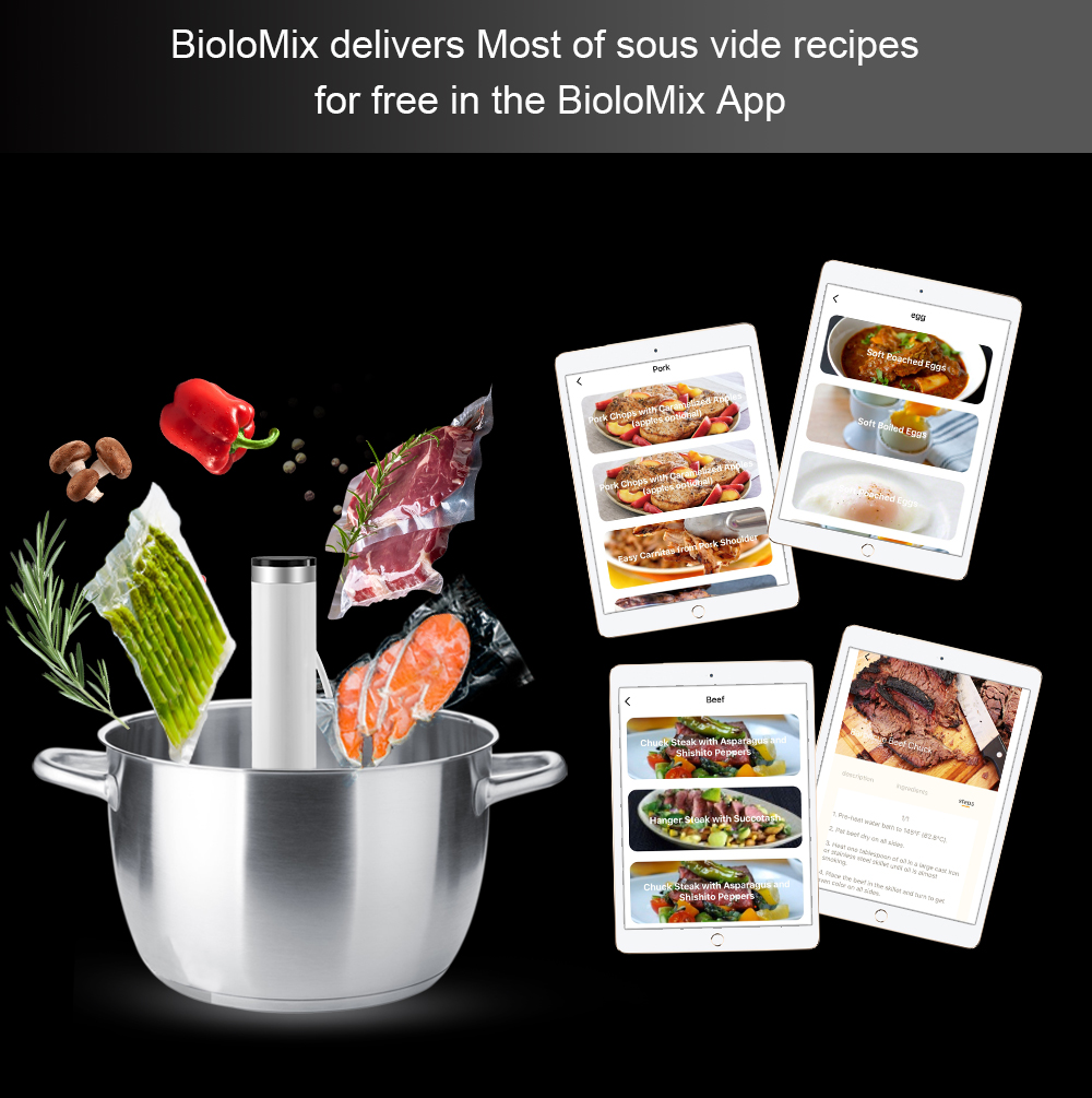 BioloMix 4th Thế Hệ Thông Minh - đánh giá và giá Sous Vide Immersion