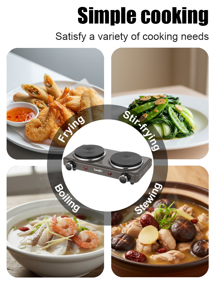 Double Burner Electric Stove S - đánh giá và giá Induction Cooktop Portable