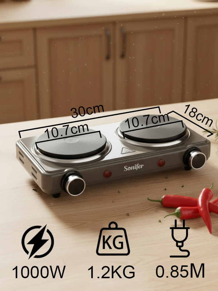 Double Burner Electric Stove S - đánh giá và giá Induction Cooktop Portable