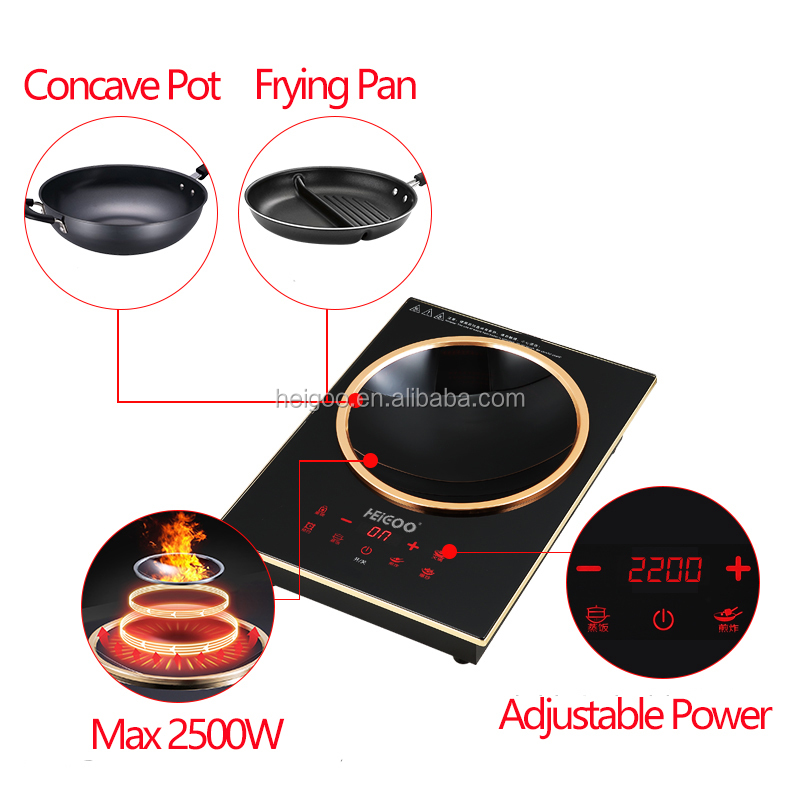Single burner Built in and Por - đánh giá và giá Induction Cooktop Portable