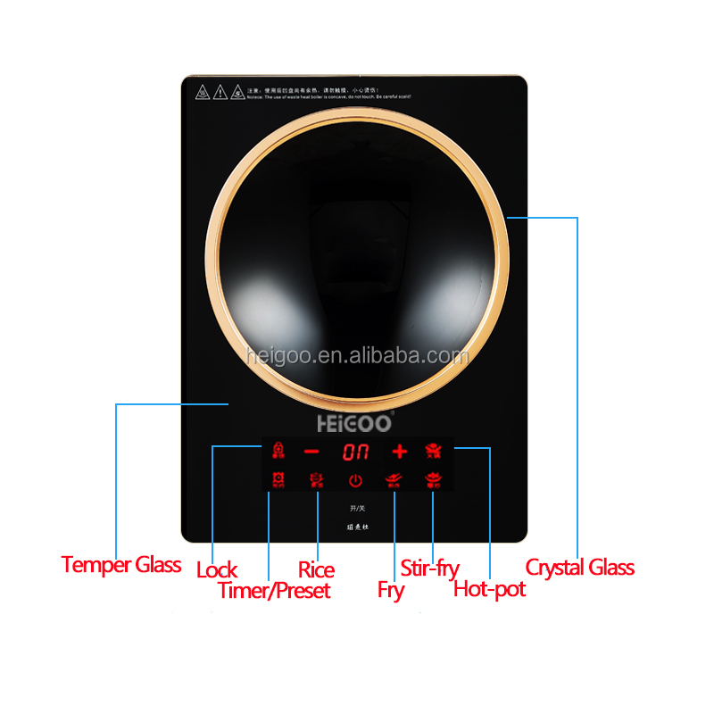 Single burner Built in and Por - đánh giá và giá Induction Cooktop Portable