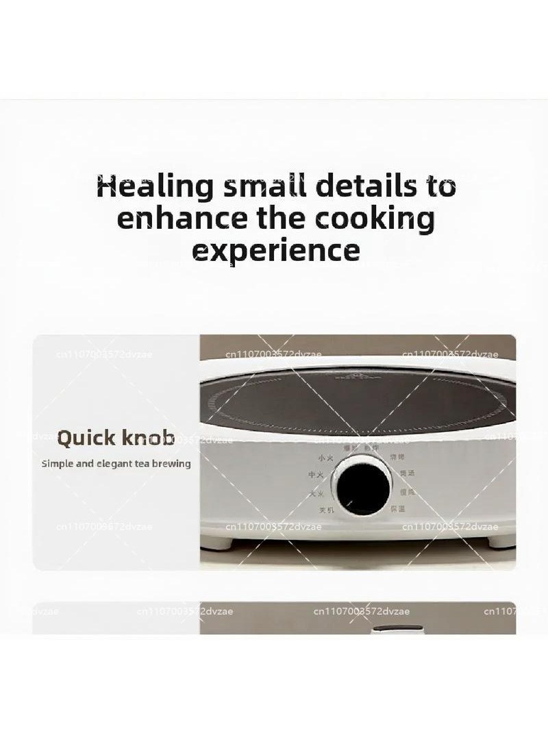 Electric Ceramic Stove Smart I - đánh giá và giá Induction Cooktop Portable