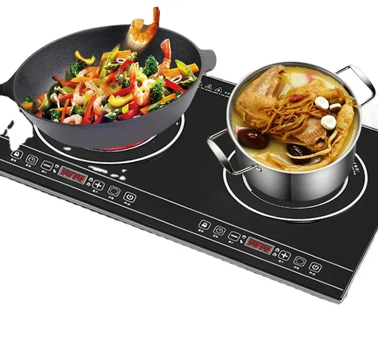Portable Electric Double Stove - đánh giá và giá Induction Cooktop Portable