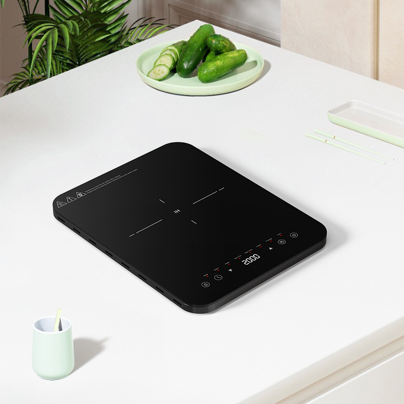 Dual heat dissipation inductio - đánh giá và giá Induction Cooktop Portable