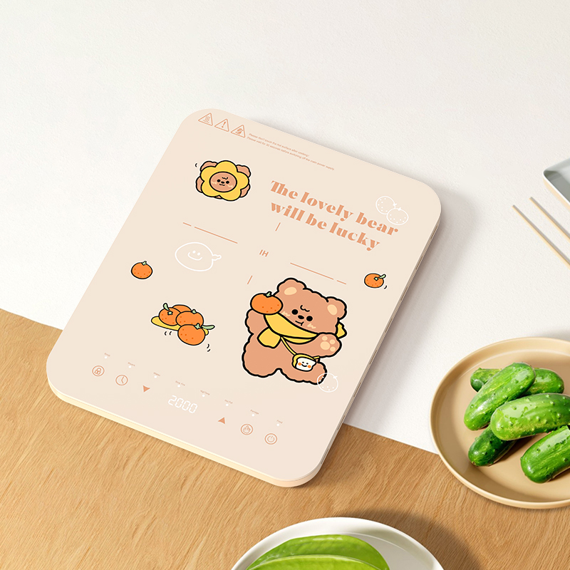 Dual heat dissipation inductio - đánh giá và giá Induction Cooktop Portable