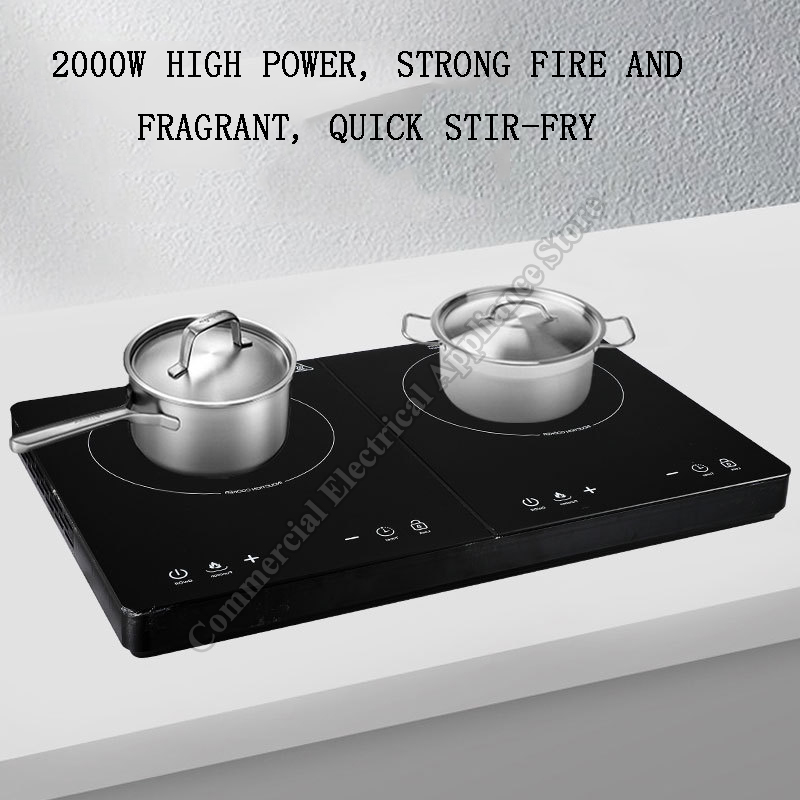 Portable Induction Cooker Cera - đánh giá và giá Induction Cooktop Portable